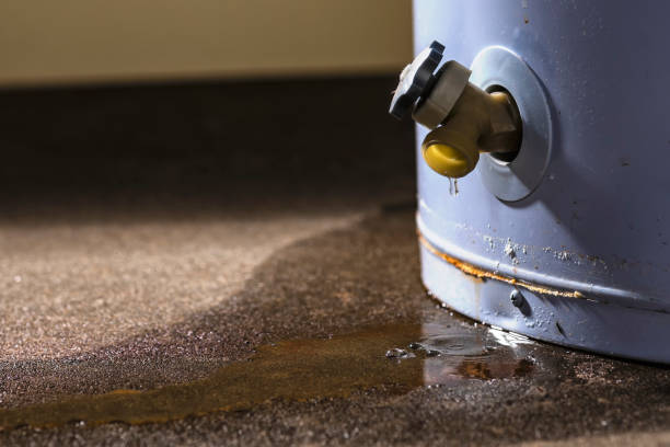 Best Water damage restoration experts  in North Webster, IN