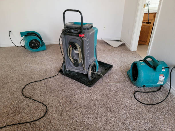 Best Carpet water damage restoration  in North Webster, IN