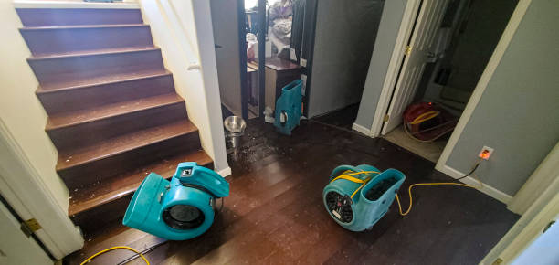 Reliable North Webster, IN Water damage restoration Solutions