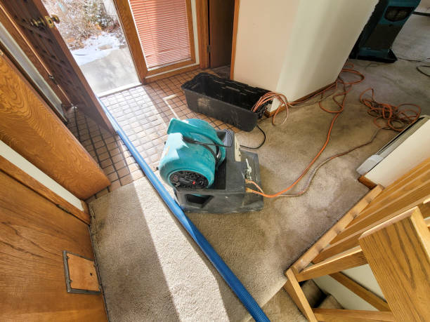 Best Water damage restoration services  in North Webster, IN