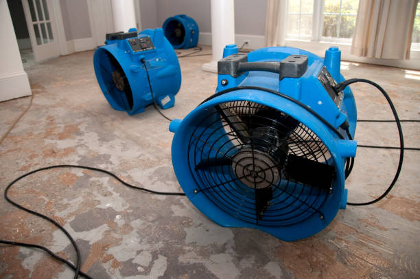 Water damage restoration experts in North Webster, IN