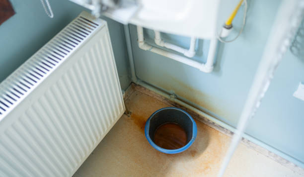 Best Professional water damage repair  in North Webster, IN