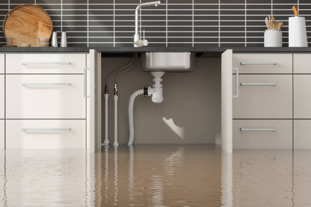 Best Water damage restoration company  in North Webster, IN